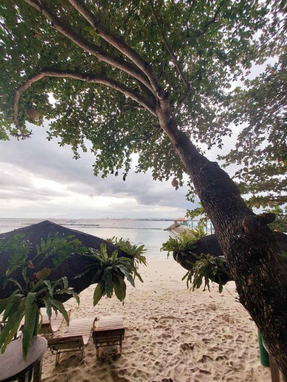 Chema'S By The Sea Hotel Samal Buitenkant foto